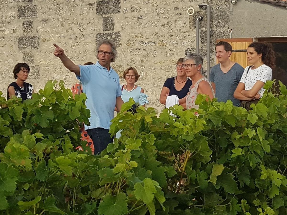 Le Coeur Des Vignes Hotel Pauillac Bagian luar foto